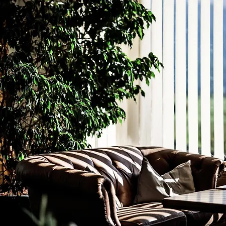 Mellow Mountain Ehrwald