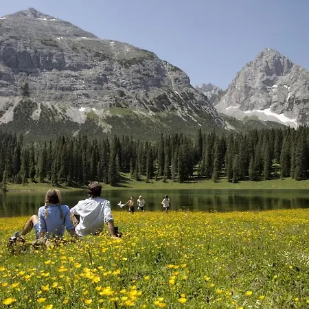 Mellow Mountain