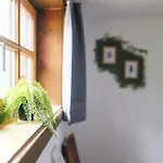 Mellow Mountain * Ehrwald